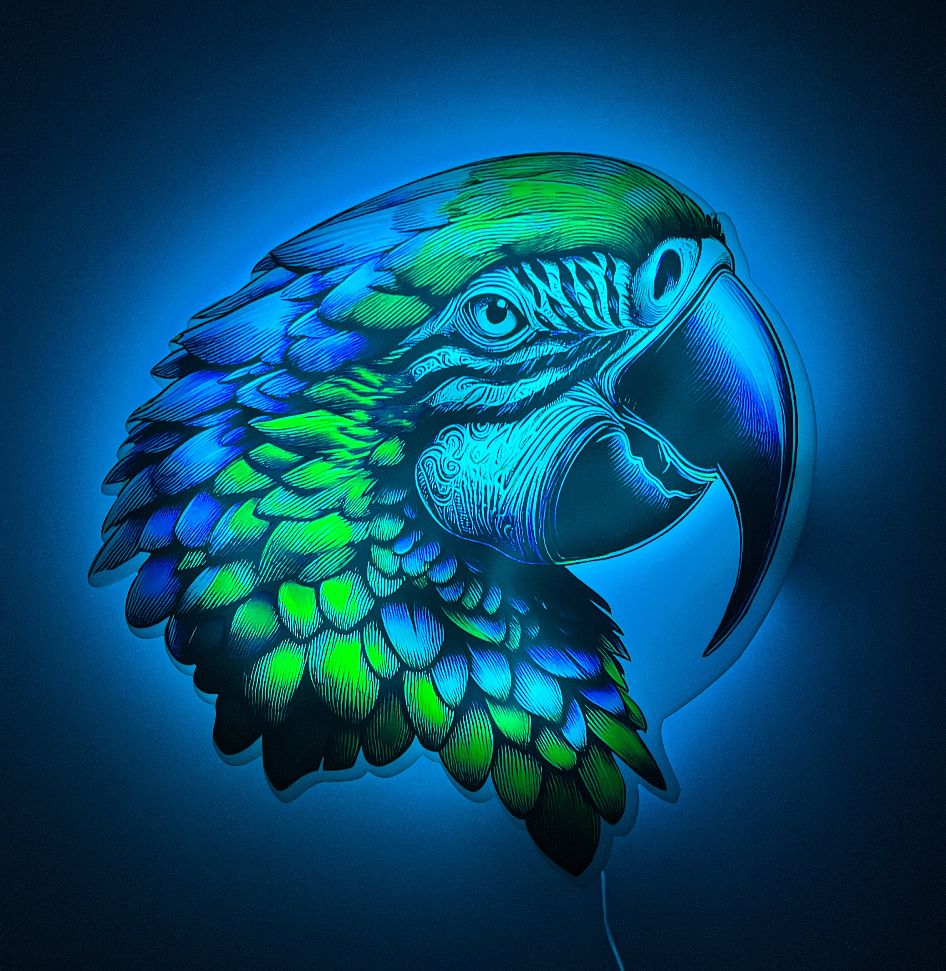 Parrot Floating LED Wall Art