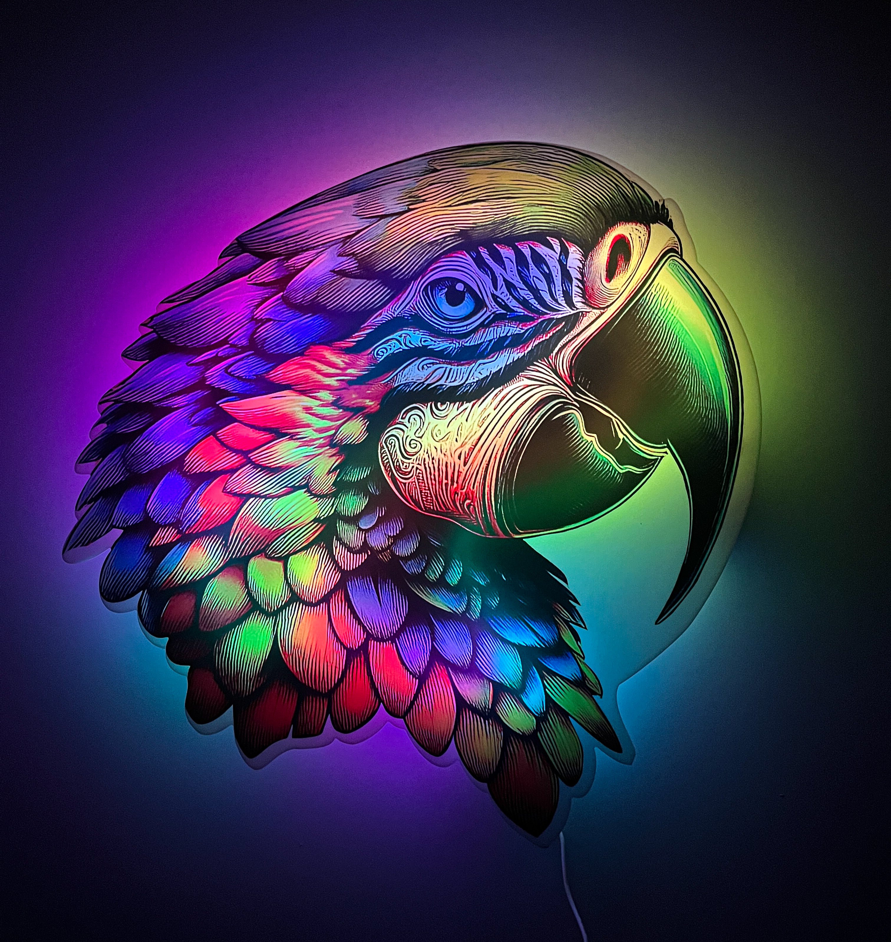 Parrot Floating LED Wall Art