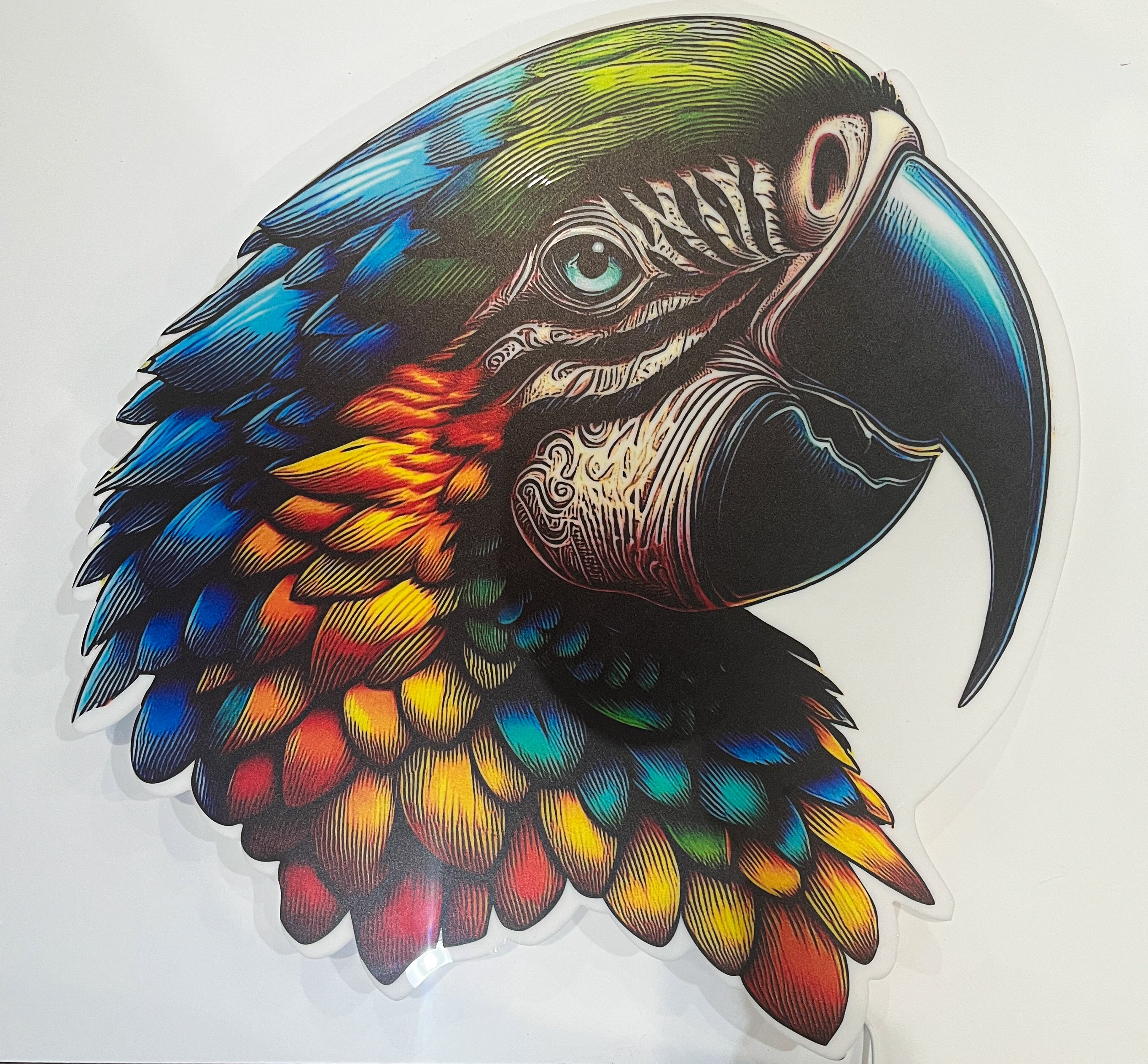 Parrot Floating LED Wall Art